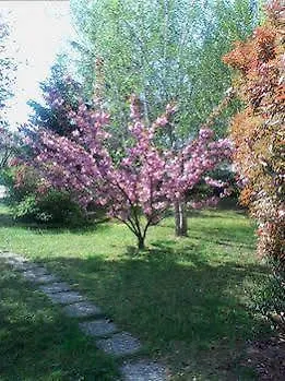 فندق مبيت وإفطار Casa Vincenti B&B Casalino