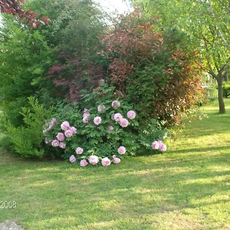 Casa Vincenti B&B 3*